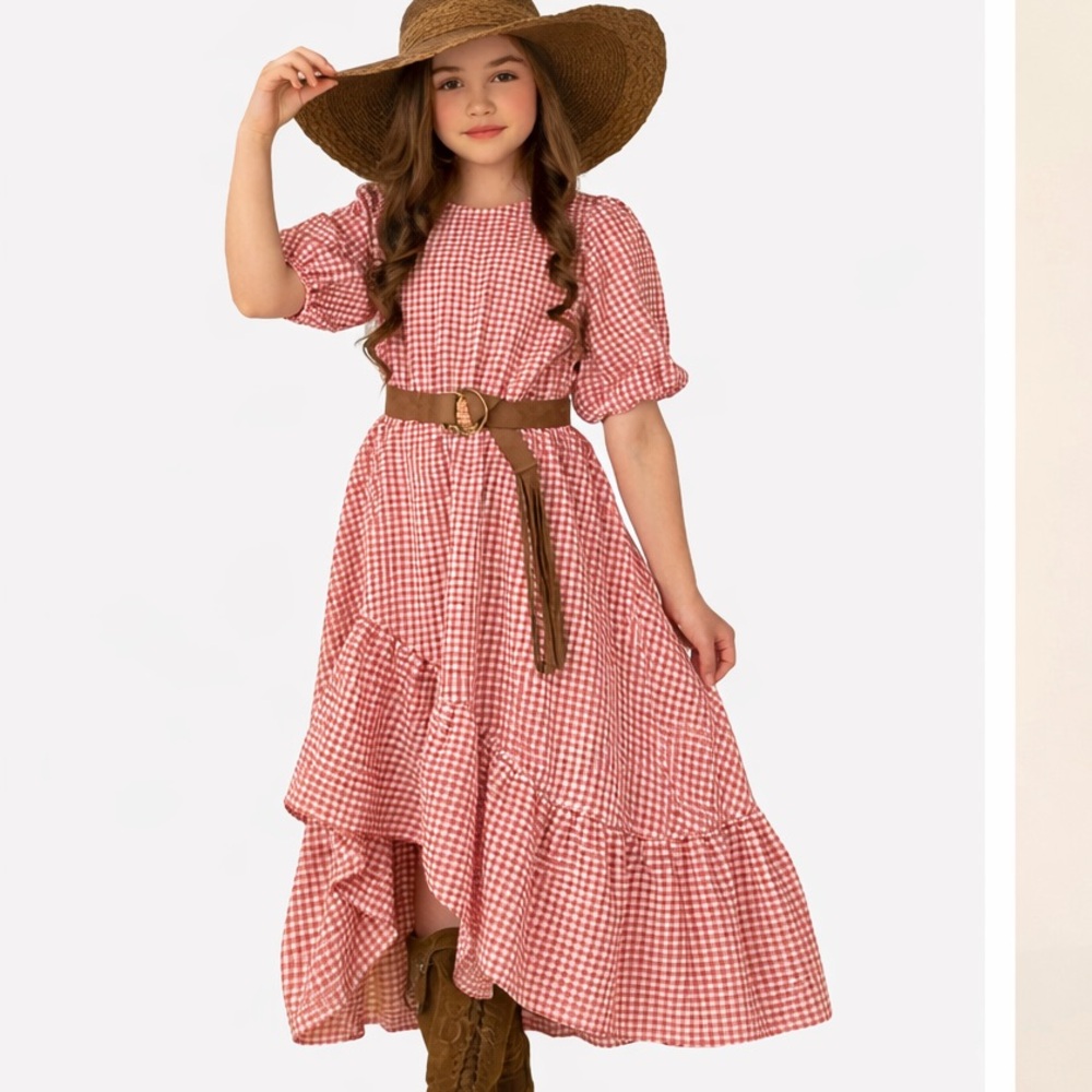 Mia Joy by Joyfolie Gabriella Dress size 10 NWT Rose Gingham $78 Photoshoot!